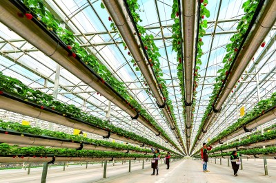 聚焦湾区新动能