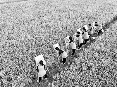 从“分数至上”走向“全面育人” 课程、教学质量决定县中发展质量 从“分数至上”走向“全面育人” 课程、教学质量决定县中发展质量