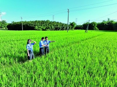 “检察蓝”守护生态绿——“十四五”期间检察机关以高质效公益诉讼服务美丽中国建设 “检察蓝”守护生态绿——“十四五”期间检察机关以高质效公益诉讼服务美丽中国建设