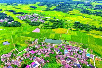 “检察蓝”守护生态绿——“十四五”期间检察机关以高质效公益诉讼服务美丽中国建设 “检察蓝”守护生态绿——“十四五”期间检察机关以高质效公益诉讼服务美丽中国建设