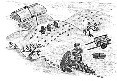 在日常中书写生命的辽阔 在日常中书写生命的辽阔