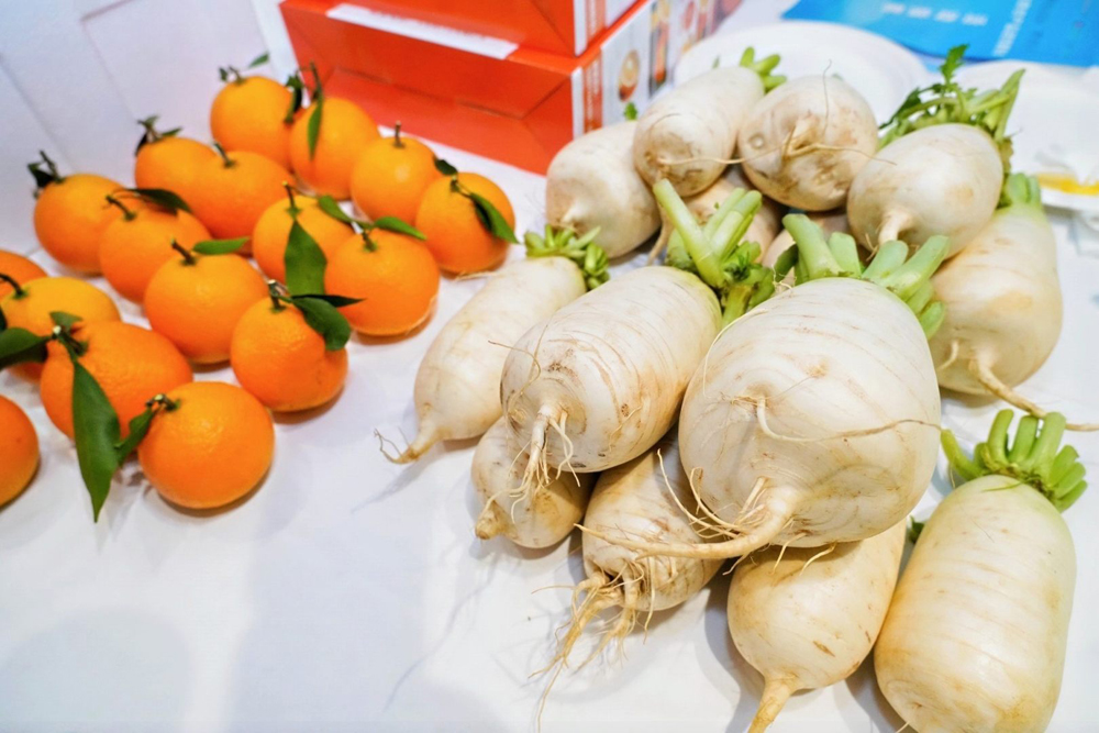 湖北优质农产品进京展销会暨签约仪式在京启幕 湖北优质农产品进京展销会暨签约仪式在京启幕