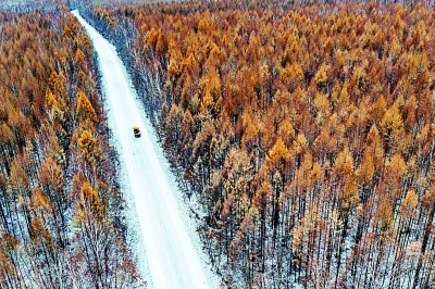 【大美中国】“醉美G331”