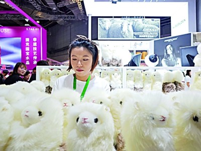 统筹安全与发展,推动建设开放型世界经济 统筹安全与发展,推动建设开放型世界经济