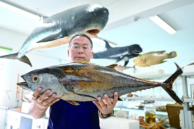 耕“云”种“数” 沃野孕育“新丰景” 耕“云”种“数” 沃野孕育“新丰景”