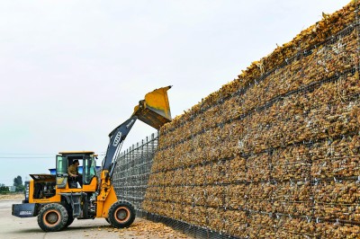 耕“云”种“数” 沃野孕育“新丰景” 耕“云”种“数” 沃野孕育“新丰景”