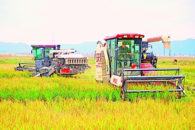 耕“云”种“数” 沃野孕育“新丰景” 耕“云”种“数” 沃野孕育“新丰景”