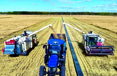 耕“云”种“数” 沃野孕育“新丰景” 耕“云”种“数” 沃野孕育“新丰景”
