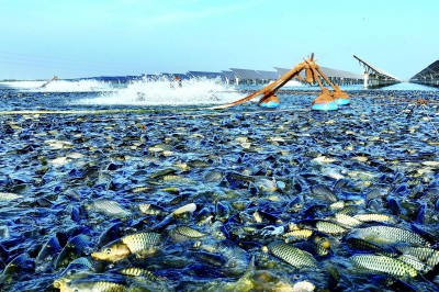 耕“云”种“数” 沃野孕育“新丰景” 耕“云”种“数” 沃野孕育“新丰景”