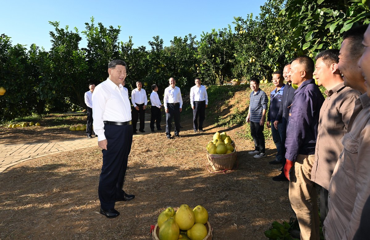 深入学习宣传贯彻党的二十届四中全会精神 以全面深化改革开放推动高质量发展