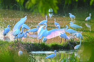 让美丽中国更加多姿多彩 让美丽中国更加多姿多彩