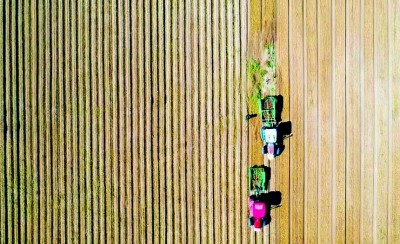 内蒙古乌兰察布市集宁区白海子镇六苏木村：资源“潜力”变发展“红利”