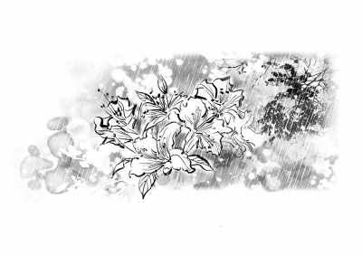 布拉岩（小说）