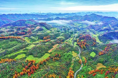 【大美中国】鎏金初冬