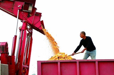 深挖单产潜力，中国饭碗咱端得牢！