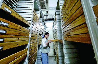 中国农业大学昆虫博物馆:讲述昆虫世界的无穷奥秘 中国农业大学昆虫博物馆:讲述昆虫世界的无穷奥秘