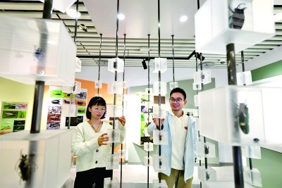 中国农业大学昆虫博物馆:讲述昆虫世界的无穷奥秘 中国农业大学昆虫博物馆:讲述昆虫世界的无穷奥秘