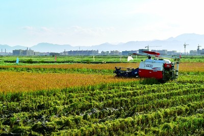 滩涂之上筑新城 滩涂之上筑新城