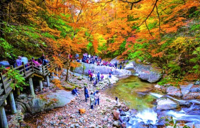【大美中国】初冬景如画