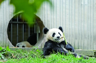 生机无限,在这片美丽的土地上 生机无限,在这片美丽的土地上