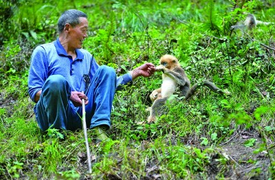生机无限,在这片美丽的土地上 生机无限,在这片美丽的土地上