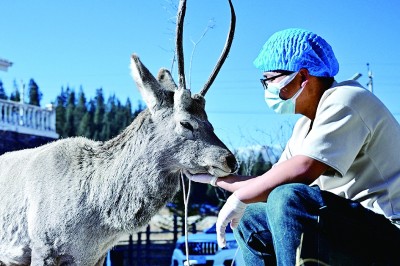 生机无限,在这片美丽的土地上 生机无限,在这片美丽的土地上