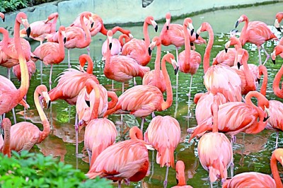 生物圈保护区——打造人与自然和谐共生样板 生物圈保护区——打造人与自然和谐共生样板