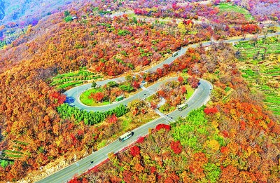 【大美中国】冬色入画