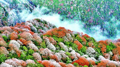 【大美中国】如诗冬景