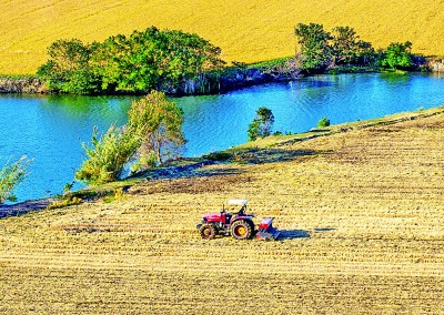 全国冬小麦播种过九成
