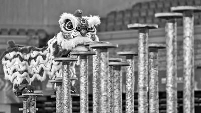 “三联通”，展现大湾区万千气象