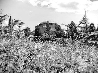 以个性化教育培养科研创造力 以个性化教育培养科研创造力