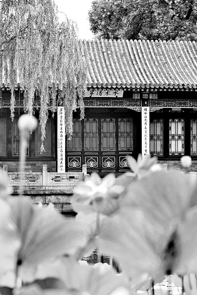 以个性化教育培养科研创造力 以个性化教育培养科研创造力