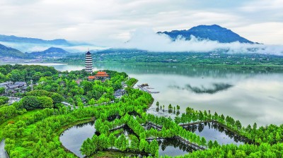 向绿向新，触摸绿色低碳转型强劲脉动——走进浙蒙渝绿色发展一线