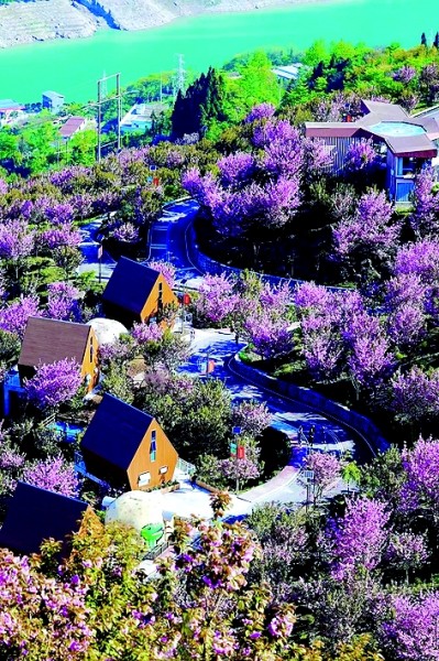 脱贫成果守得住 持续振兴跑得远——四川巩固拓展脱贫攻坚成果与乡村振兴有效衔接成效显著 脱贫成果守得住 持续振兴跑得远——四川巩固拓展脱贫攻坚成果与乡村振兴有效衔接成效显著