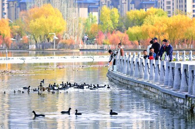 静享生活,一起为城市“降噪” 静享生活,一起为城市“降噪”