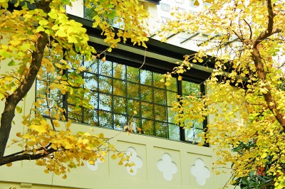 上海全面告别“拎马桶”——老弄堂拥抱新生活 微改造折射大民生