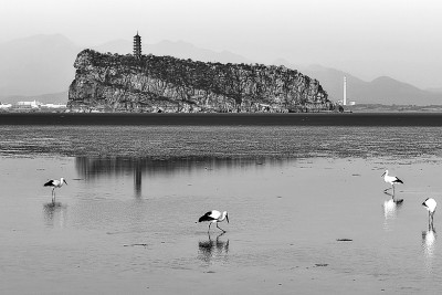 鄱湖如画生态美