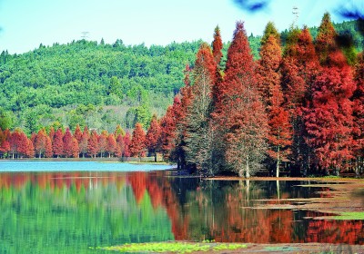 【大美中国】多彩冬景