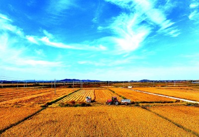辽宁大连普兰店区：山海着丰色 乡村谱新篇