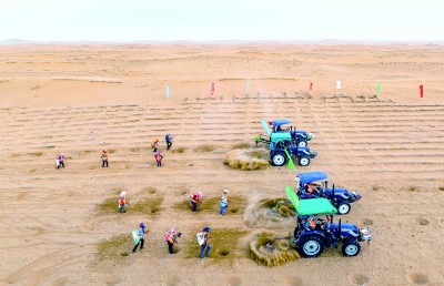 荒漠播绿洲 荒漠播绿洲