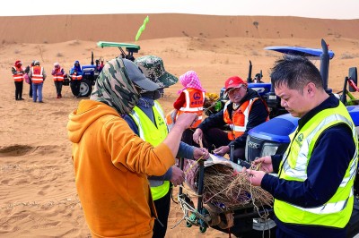 荒漠播绿洲 荒漠播绿洲