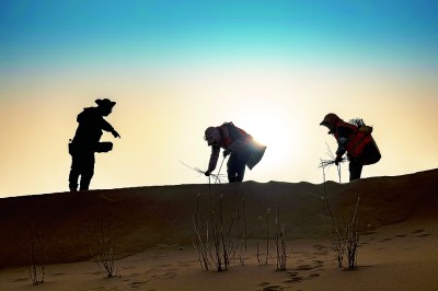 荒漠播绿洲 荒漠播绿洲