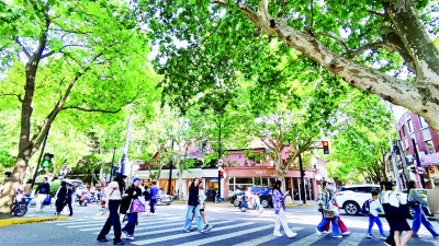 让青春梦想落地生根 让青春梦想落地生根