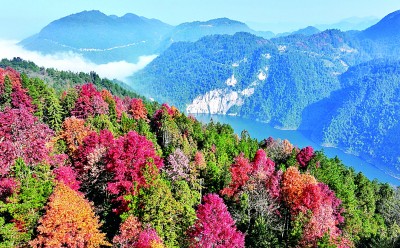 【大美中国】斑斓冬韵