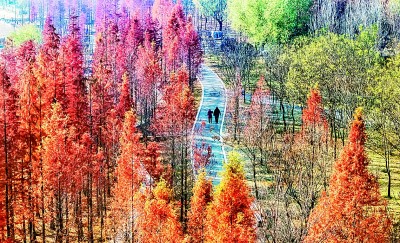 【大美中国】缤纷冬日