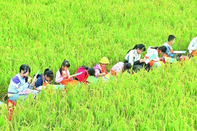 走，去逛逛村里的美术馆