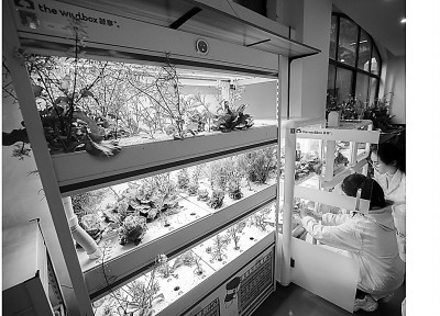 用跨学科项目培养创新思维