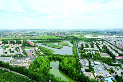 宁夏银川市兴庆区大新镇燕鸽村:乡风淳带动产业旺 宁夏银川市兴庆区大新镇燕鸽村:乡风淳带动产业旺