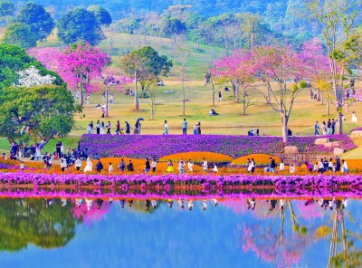 【大美中国】多彩冬日